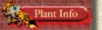 but_4_plntinfo.gif (6344 bytes)