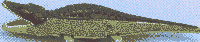 crocodile.gif (3468 bytes)