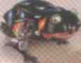 hoping_frog.jpg (3607 bytes)