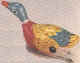 swim_duck_small.jpg (1245 bytes)